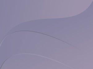 语音助手在远程办公中的使用